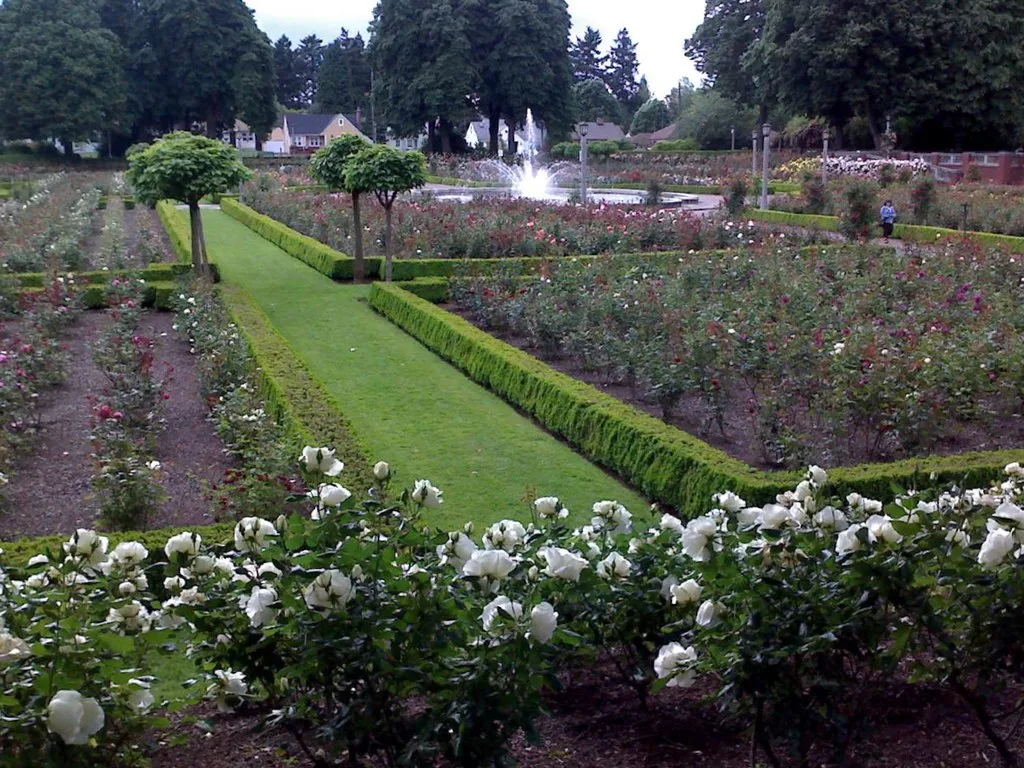 Peninsula Park in Portland Oregon